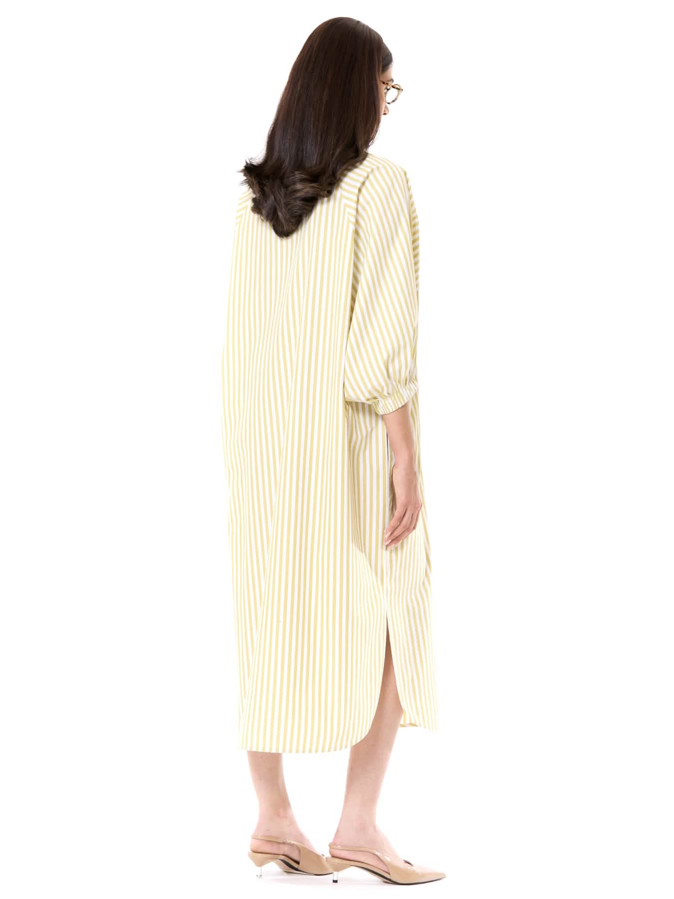 Embroidered Wing Dress